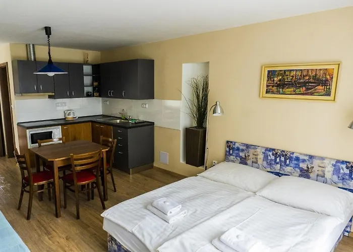 Studia A Apartmany U Karla