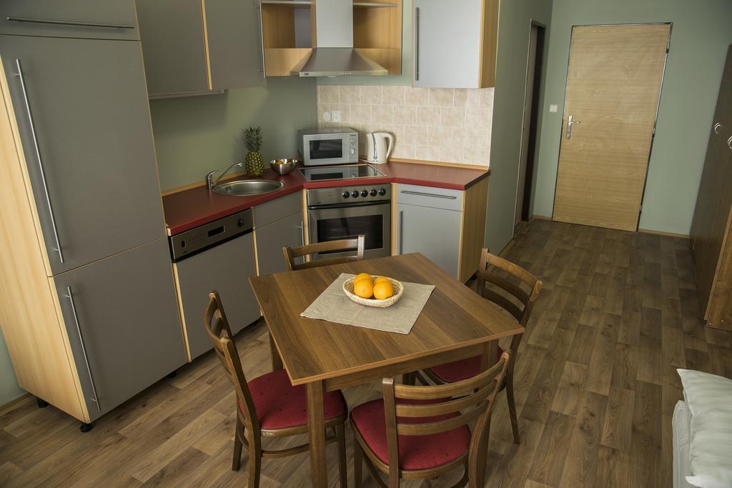 Apartment Studia A U Karla Turnov